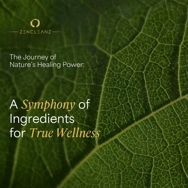 ZenCleanz plant-based healing ingredients including fruits, roots, herbs, mushrooms, and fermented botanicals for detox, digestion, energy, and immune support