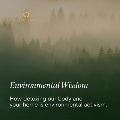 How Detoxing Our Body and Your Home is Environmental Activism