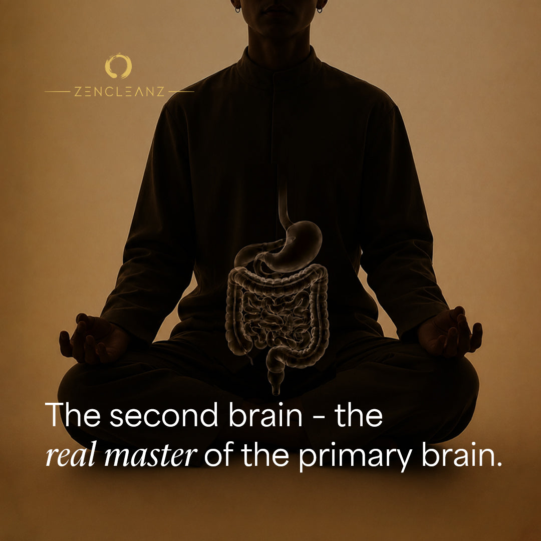 The second brain - the real master of the primary brain.