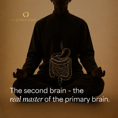 The Second Brain - The Real Master of the Primary Brain
