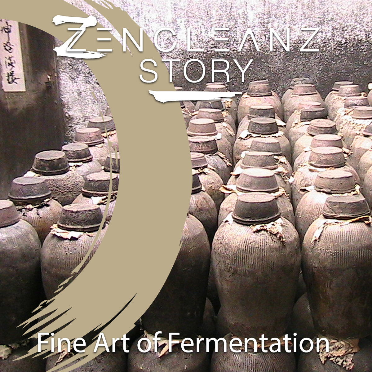 Fine Art of Fermentation (Our Story Part 2)