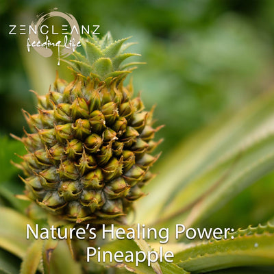 Nature's Healing Power: Pineapple