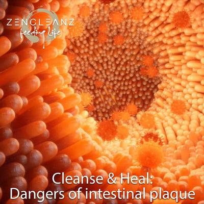 The dangers of intestinal plaque
