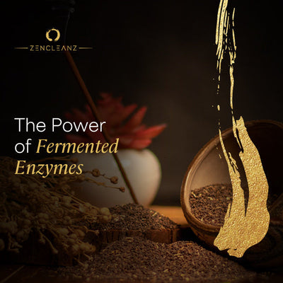 Fermented Enzymes Detox: Benefits for Gut Health