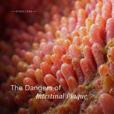 The dangers of intestinal plaque