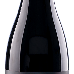 AMBROSIA - ZenCleanz