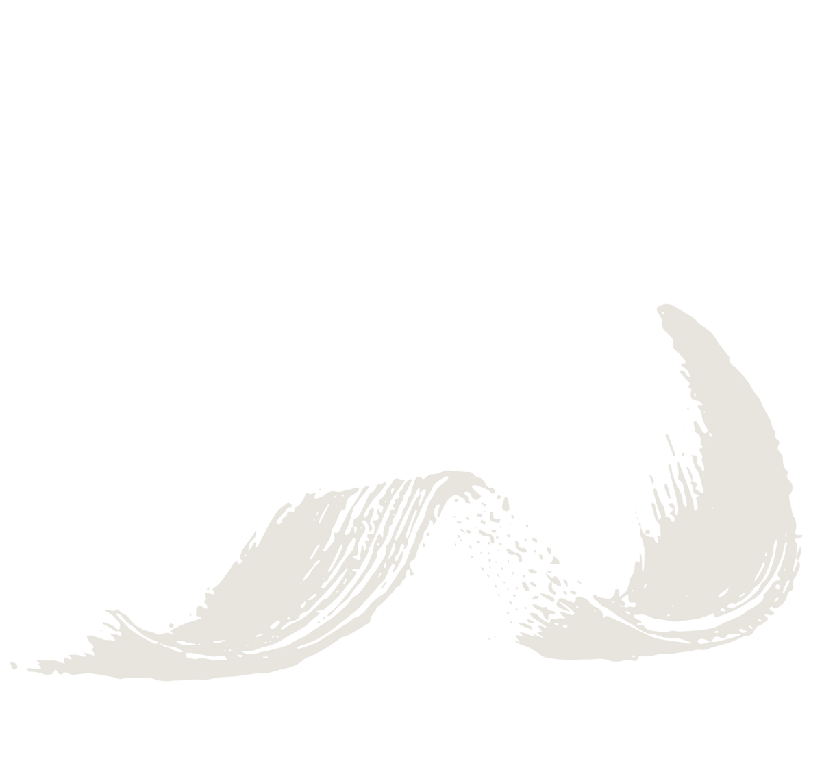 BRUSH_KV_ZENCLEANZ-01_Artboard 5.png__PID:2c9951d2-e93f-48c0-bba8-3812bc25aead