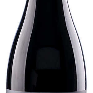 LIGHTSEED - ZenCleanz