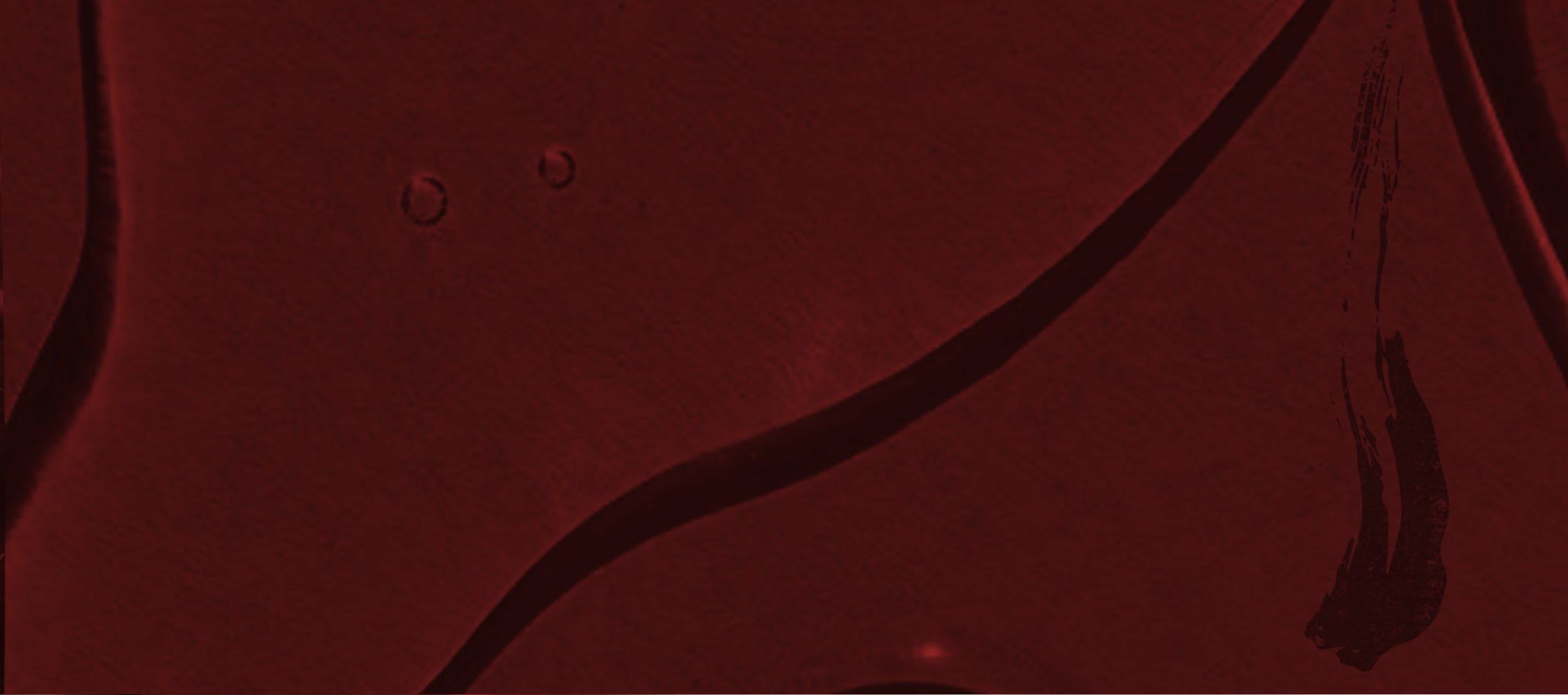 October's Deal 2024_Offer-background-NEW.jpg__PID:c5a9955b-fa05-4a46-8d6d-90607d535f63