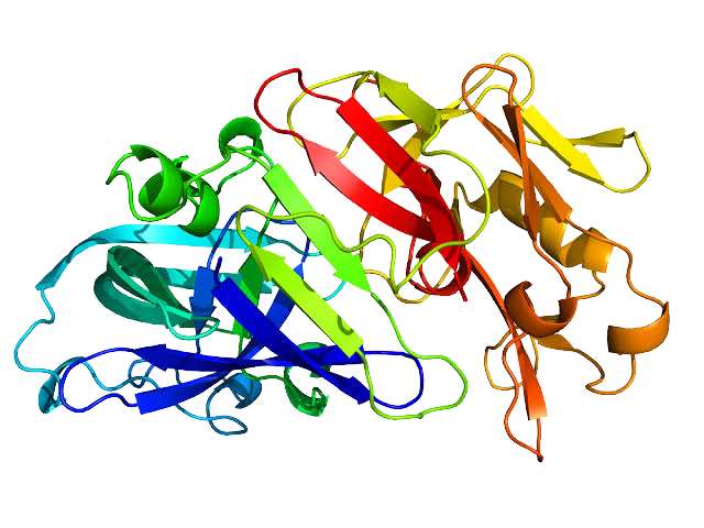 Enzymes