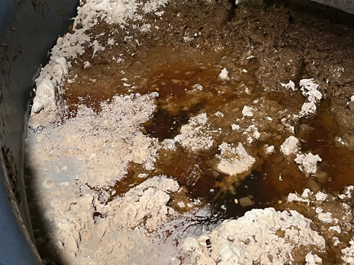 Acetic Fermentation