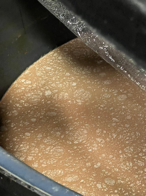 Lactic Fermentation